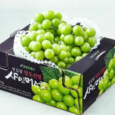 상품 이미지: 영길팜 당도선별 샤인머스캣, 1.5kg, 1박스