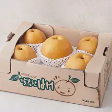 상품 이미지: 원농산 당도선별 배, 3kg(4~6입), 1박스