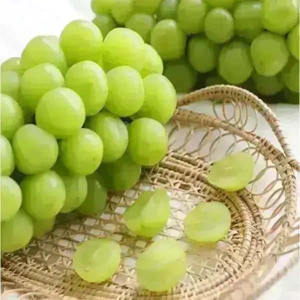 상품 이미지: 달콤한 샤인머스캣 에어셀 안전포장 2kg 2-6수