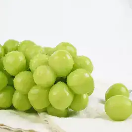상품 이미지: 스윗킹 고당도 김천 실속형 샤인머스켓 2kg(3-5수)