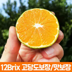 상품 이미지: (신선집중) 12브릭스 당도보장 스위트 유라 실생 감귤 꽃귤 로얄과 4kg 맛불만족시 무료반품