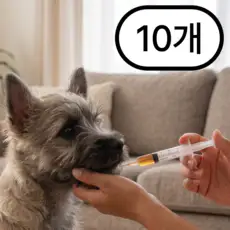 상품 이미지: 강아지 고양이 약먹이는 바늘없는 일회용 주사기, 10개, 투명, 3ml