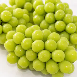 상품 이미지: (최저가 도전) (마진포기) 4-5수 김천 16brix 하우스 샤인머스켓 2kg 4-5수