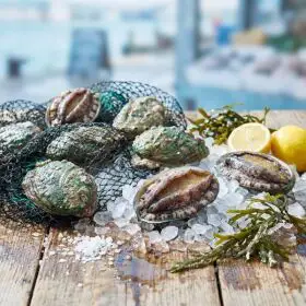상품 이미지: 특대 완도활전복 9~10미 1kg 마리당중량 100g내외
