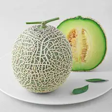 상품 이미지: 곰곰 머스크 멜론, 1.2kg, 1개