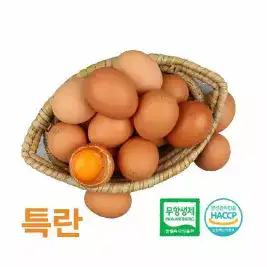 상품 이미지: (알부자집) 무항생제 계란 특란 150구(30구X5판)