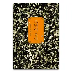 상품 이미지: 소년이 온다, 한강, 창비