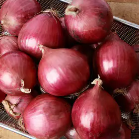 상품 이미지: (신선집중) 자색 양파 26년 햇 무안 자색 양파 3kg 중/대 혼합