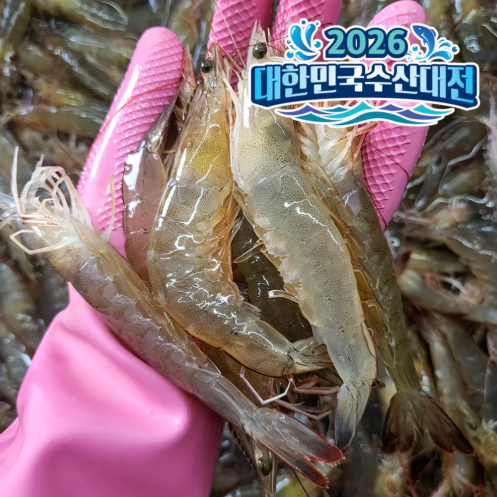 상품 이미지: 국산 흰다리새우 활새우 1kg 왕새우 생새우 새우철 제철
