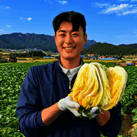 상품 이미지: 해남 절임배추 20kg 절임배추 김장배추 연중판매 해가온