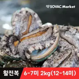상품 이미지: [바다마을] 완도 활 전복 2kg 6-7미(12~14마리) VIP 특대 전복 산소포장