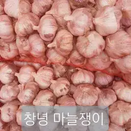 상품 이미지: 26년 창녕 마늘 특대 5kg 양파 출시 햇마늘 햇양파 난지형 국내산 통마늘 흑마늘용 김장용 요리용