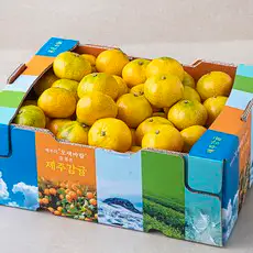 상품 이미지: 오색바람 감귤 랜덤과, 5kg, 1박스