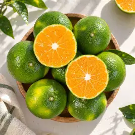 상품 이미지: [T쇼페] 제주 새콤달콤 극조생감귤 로얄과 5kg (실 중량 4.5kg)