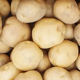 상품 이미지: 아빠의 마음 26년 햇감자 5kg(중)