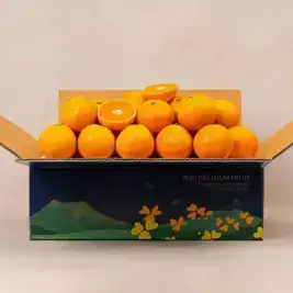 상품 이미지: 달콤한 제주 서귀포 고당도 노지 감귤 4.5kg 2S 소과
