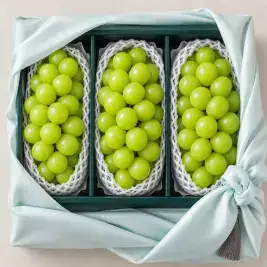 상품 이미지: 프리미엄 추석 샤인머스캣 선물세트 로얄과 1.5kg