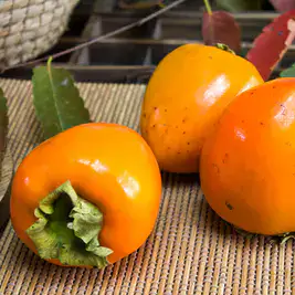 상품 이미지: 햇 대봉감 10kg(21~50)/겨울철 간식 맛있는 대봉 홍시/지금이제철