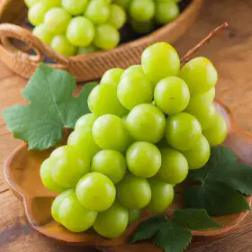 상품 이미지: (신선집중) 경북 고당도 샤인머스켓 (4~5수) 2kg