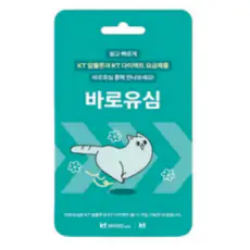 상품 이미지: KT바로유심칩, 1개