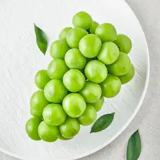 상품 이미지: 영길팜 당도선별 샤인머스캣, 500g, 1개