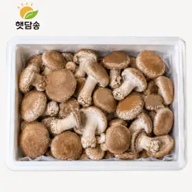 상품 이미지: 햇담 송화버섯 가정용 1kg 농협에 납품하는 이천 무농약 송고버섯 농장 직배송