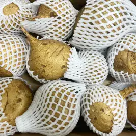 상품 이미지: 수입산 멕시코감자 히카마 얌빈 슈퍼푸드 3kg 5kg