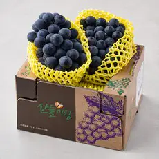 상품 이미지: 산들이랑 비파괴당도선별 거봉, 1kg, 1개