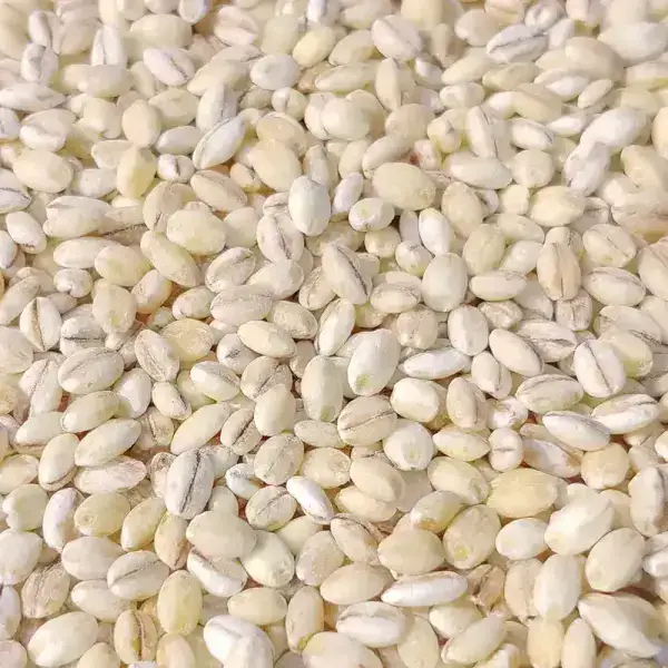 상품 이미지: 군산 흰찰쌀보리4kg/흰찰보리/찰보리