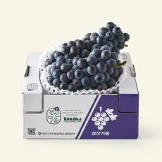상품 이미지: 옹골찬 경산 GAP 인증 거봉, 1개, 1.5kg(2~3수)