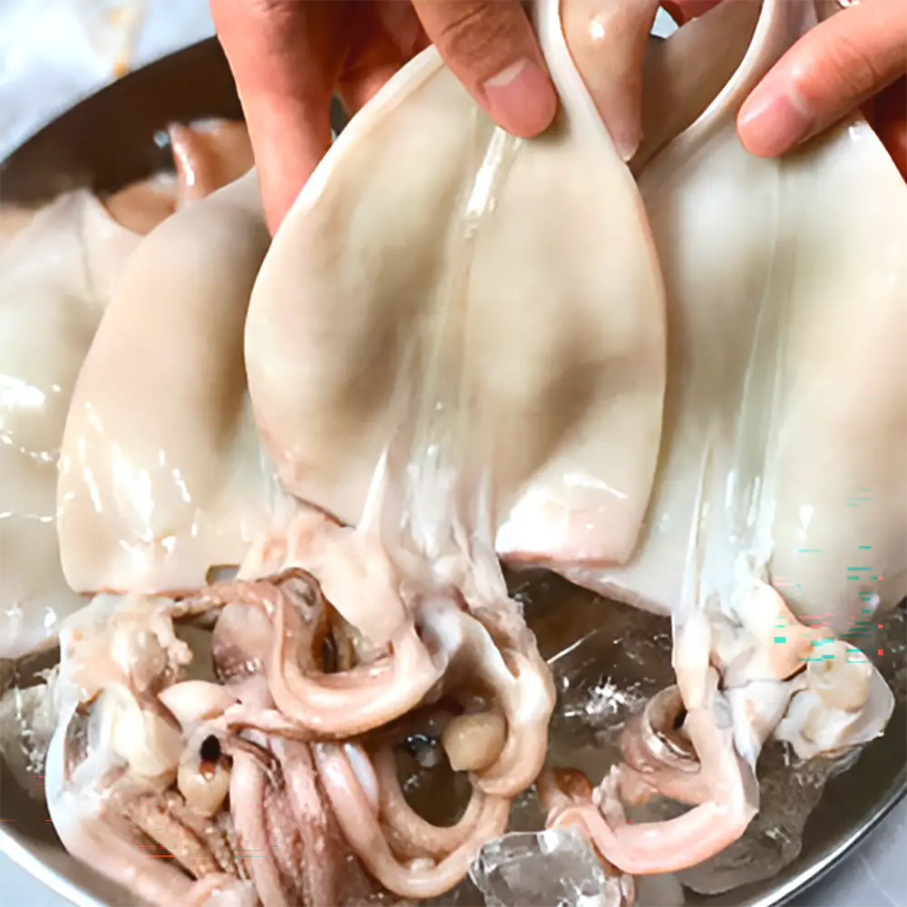 상품 이미지: 두툼 손질오징어 500g 2-3마리 급냉 냉동 오징어