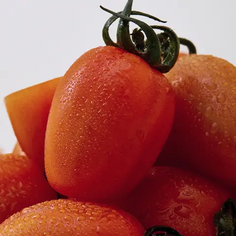 상품 이미지: [부여] 프리미엄 토망고 500g x 4팩 GAP 청포도/망고향 스테비아 토마토