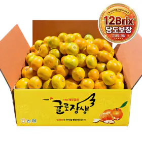 상품 이미지: (신선집중/NH8%) 12브릭스 농협 귤로장생 고당도 진짜 유라 감귤 4kg 로얄소과