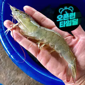 상품 이미지: (신선집중) 국내산 제철 흰다리 왕새우 大 1kg(30미 내외) 생 새우회 횟감