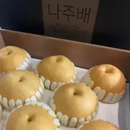 상품 이미지: 26년 햇배 프리미엄 나주 배 신고배 특품 5kg 7.5kg 선물용