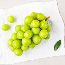 상품 이미지: 한반도 비파괴 당도선별 샤인머스캣, 500g, 1개