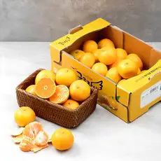 상품 이미지: 귤로장생 당도선별 10brix 감귤, 1.5kg(로열과), 1개