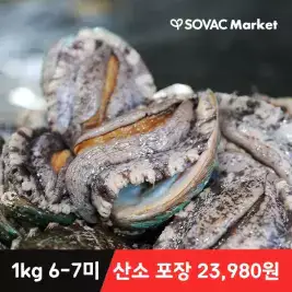 상품 이미지: [바다마을] 완도 활 전복 1kg 6-7미 VIP 특대 전복 산소포장