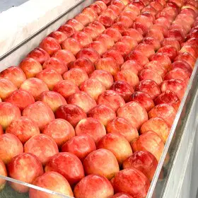 상품 이미지: ( 한정특가 ) 명품 고당도 홍로사과 중대과 평균12브릭스 이상 / 2.5kg 9과 개별망포장
