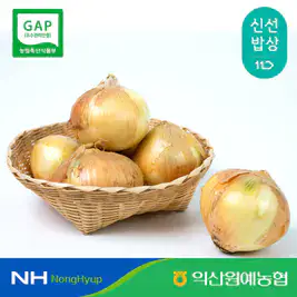 상품 이미지: [익산원예농협] 26년 국내산 양파 중대사이즈 5kg