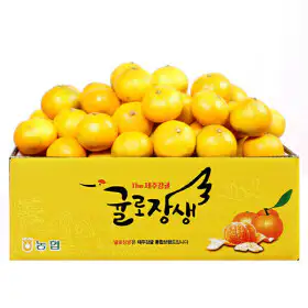 상품 이미지: (신선집중) 감귤 농협 귤로장생 노지 감귤 4.5kg(실중량) 로얄과(2S-M)