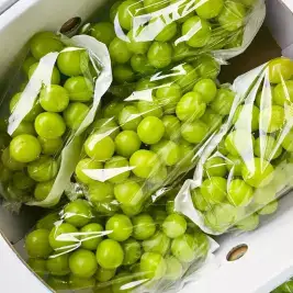 상품 이미지: [하루딱50박스] 샤인머스켓 2kg 프리미엄 고당도 3-6수 (실중량 1.6 ~ 1.7kg)