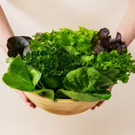 상품 이미지: 산지 유러피안 샐러드 야채 채소 유럽상추 4종 이상 1kg