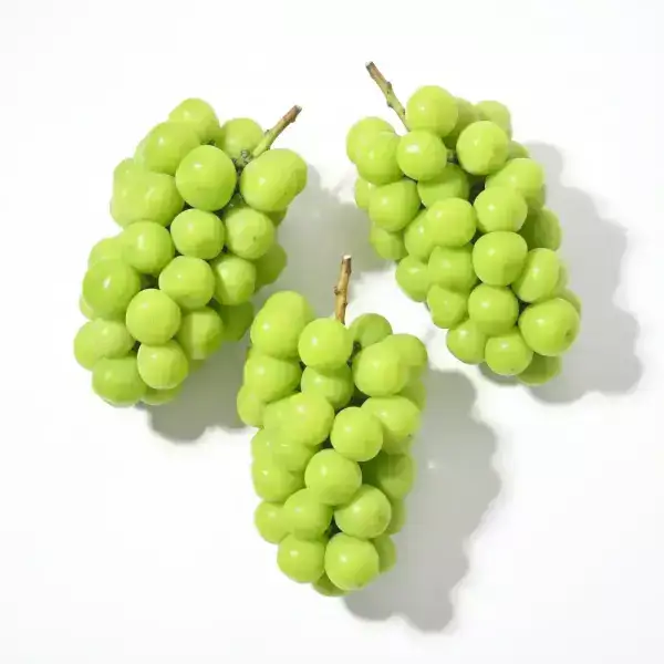 상품 이미지: [최종 8,950원] [품질보장] 당도선별 17브릭스이상! 고당도 샤인머스켓 2kg 3~4수