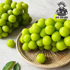 상품 이미지: 고당도 샤인머스켓 가정용 2kg 4-6수 산지직송 한정 수량 선착순 특가