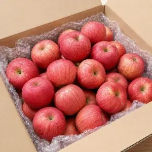 상품 이미지: (타임특가) 유명산지 고당도 햇사과 5kg 홍로사과 꿀사과 박스포함