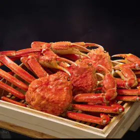 상품 이미지: (신선집중) 크랩플릭스 A급 러시아 자숙 대게 1kg (1미/26년 마가단대게 첫입고/수율보장제/자사HACCP가공)