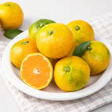 상품 이미지: 새벽경매 하우스 감귤, 500g, 1팩