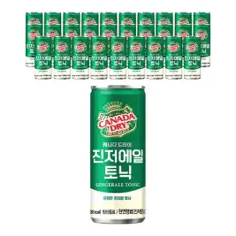 상품 이미지: 캐나다드라이 진저에일, 250ml, 30개