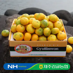 상품 이미지: 제주감귤농협 귤림원 감귤 4kg 중대과